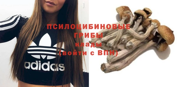 индика Михайловск