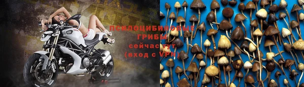 кокаин колумбия Бородино