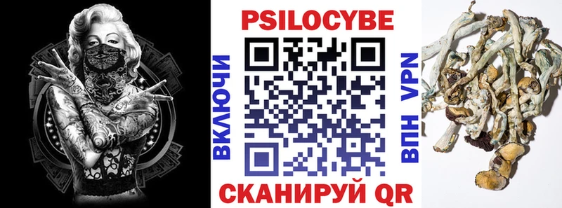 Галлюциногенные грибы Magic Shrooms  blacksprut рабочий сайт  маркетплейс официальный сайт  Козьмодемьянск 